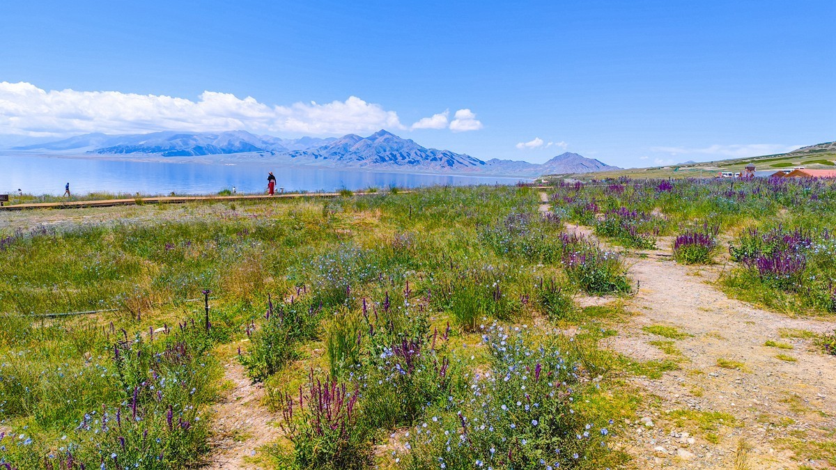 大美新疆——赛里木湖2