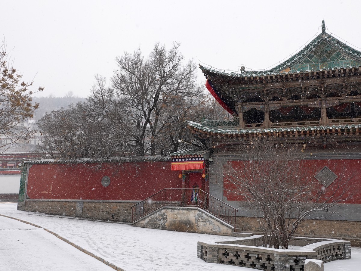 雪中西宁塔尔寺