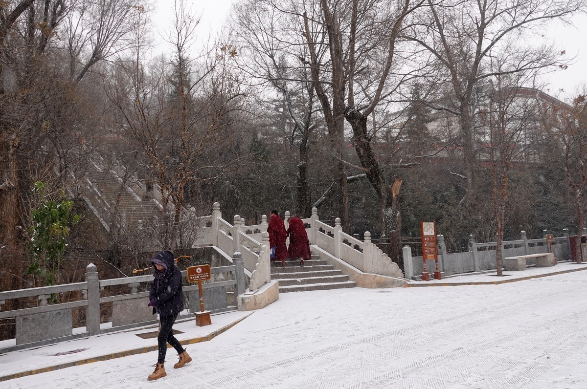 雪中西宁塔尔寺