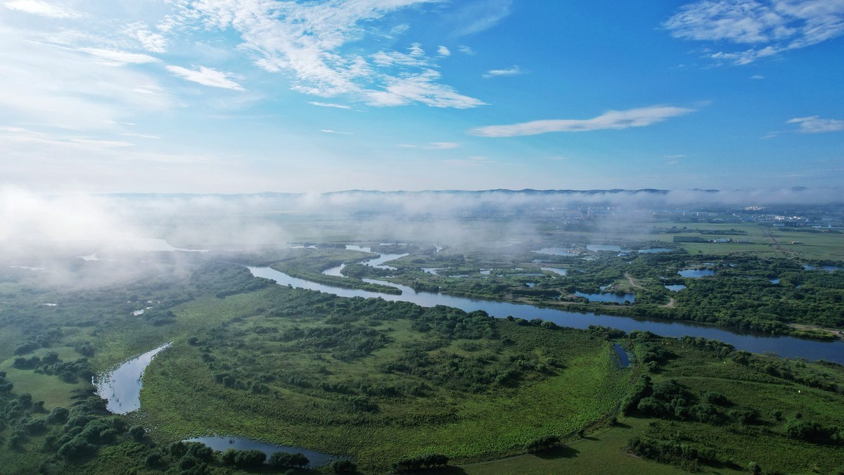 海拉尔河湿地雾景