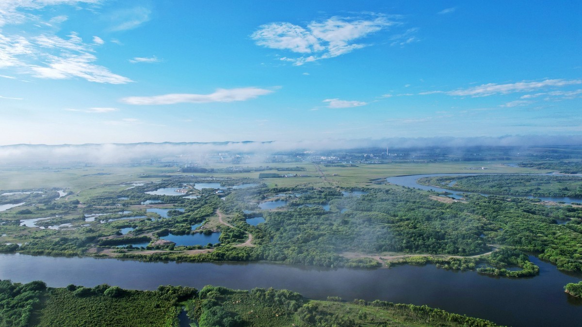 海拉尔河湿地雾景
