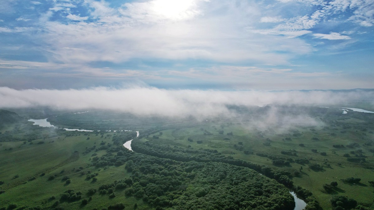 海拉尔河湿地雾景
