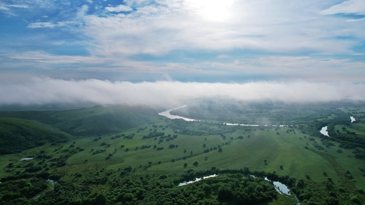 海拉尔河湿地雾景