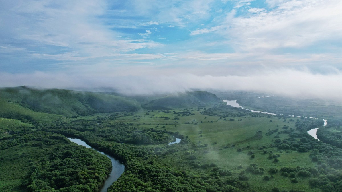 海拉尔河湿地雾景