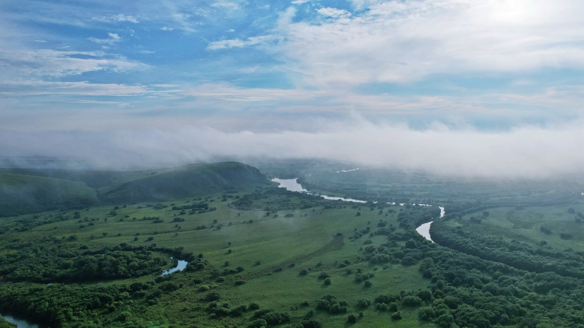 海拉尔河湿地雾景