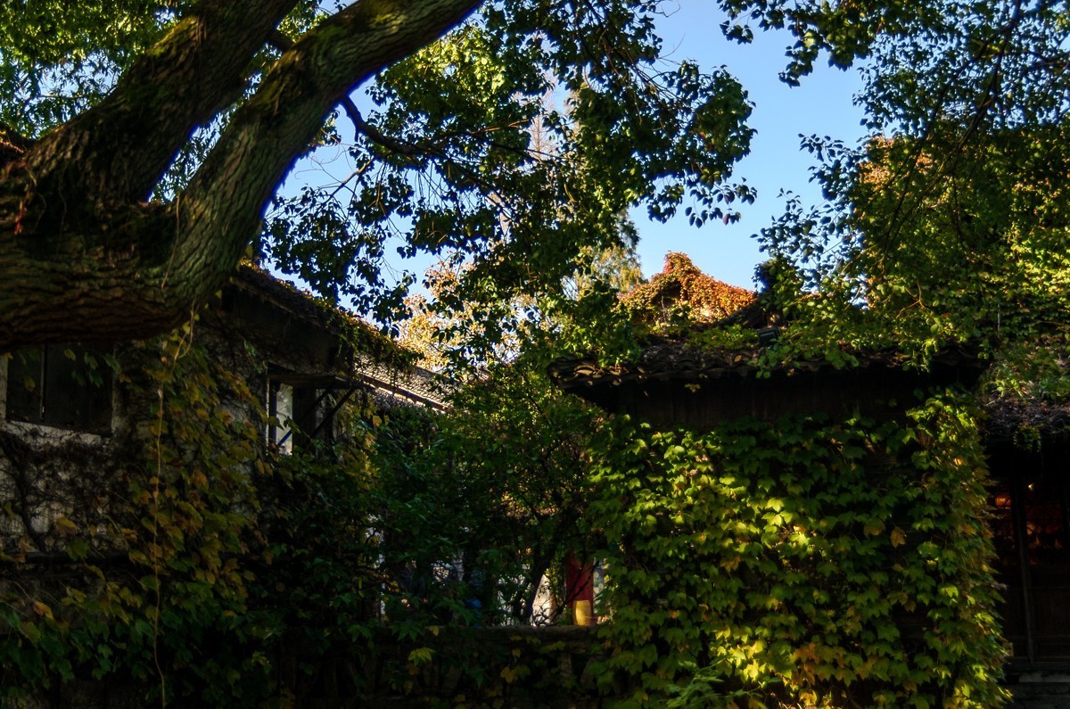 打开乌镇色彩的正确方式（宾得K5）之二