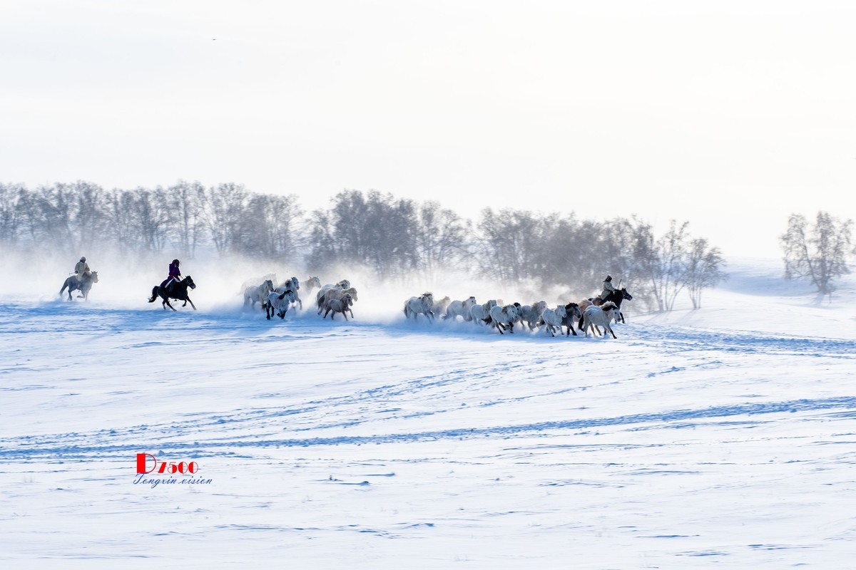 策马奔腾（50）