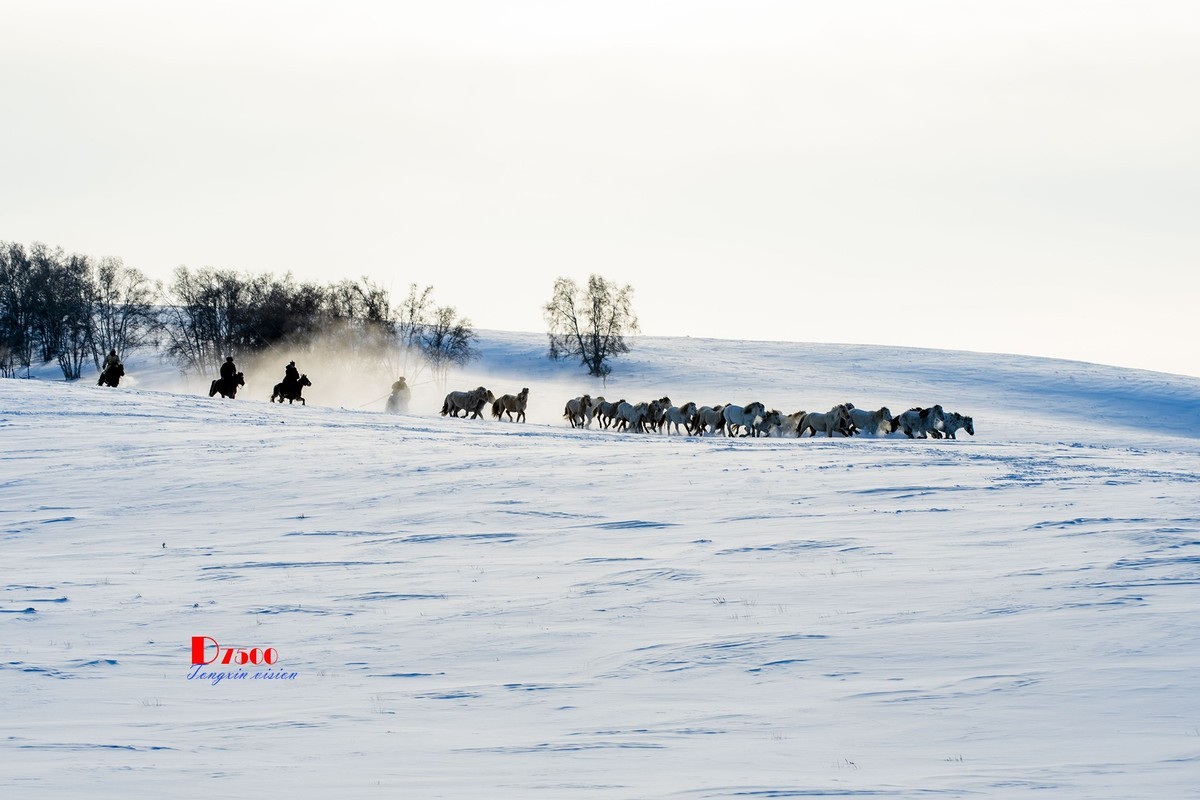 策马奔腾（50）