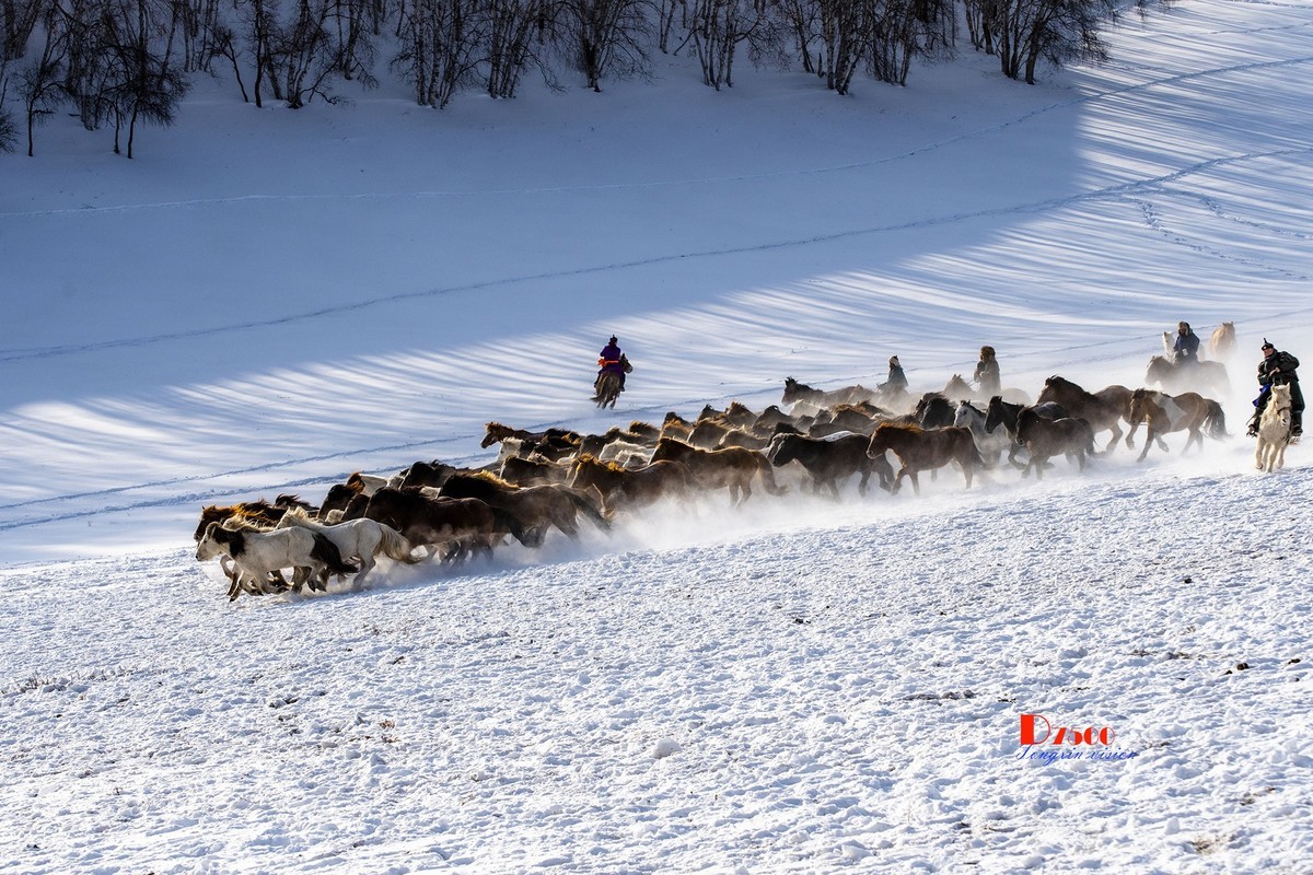 策马奔腾（50）