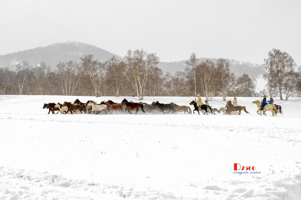 策马奔腾（50）