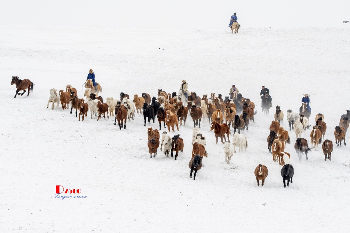 策马奔腾（50）