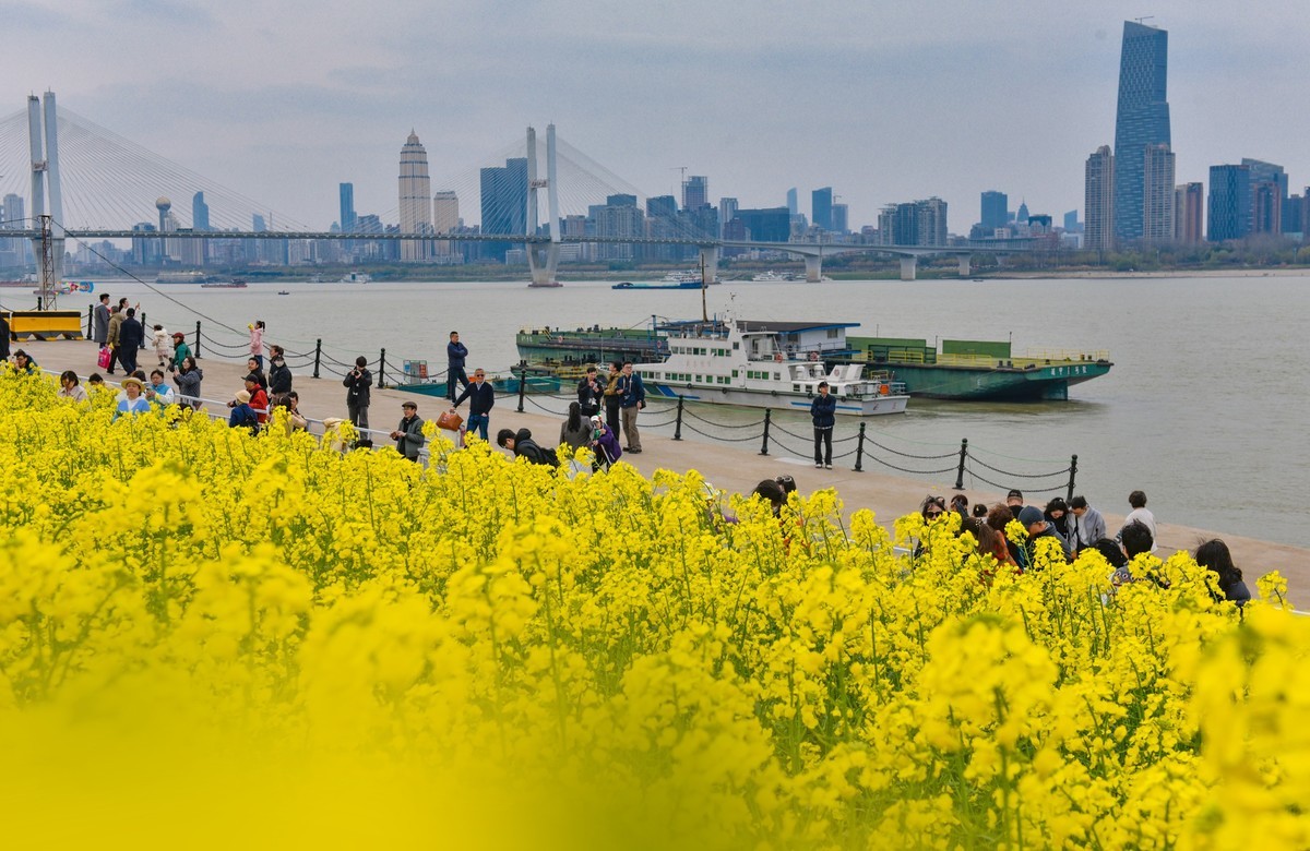 春意盎然的江滩