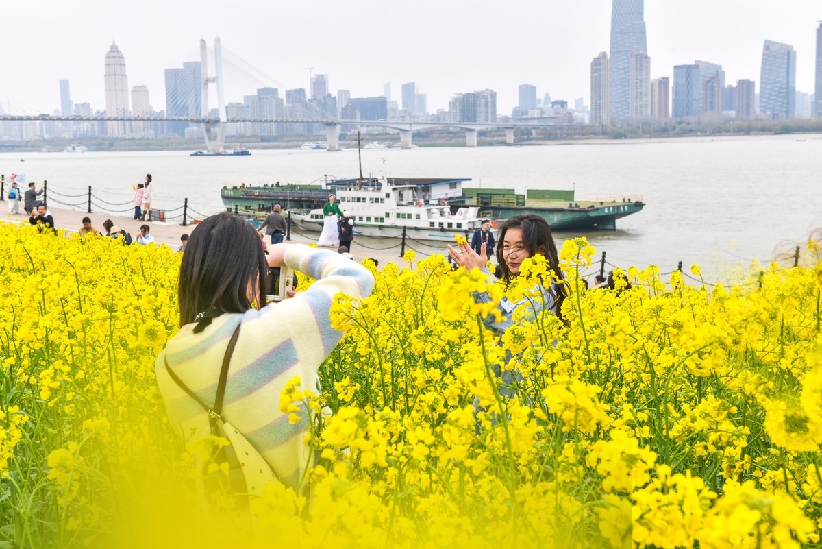 春意盎然的江滩