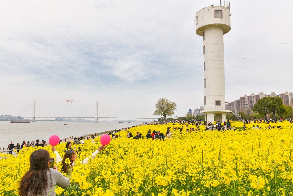 春意盎然的江滩