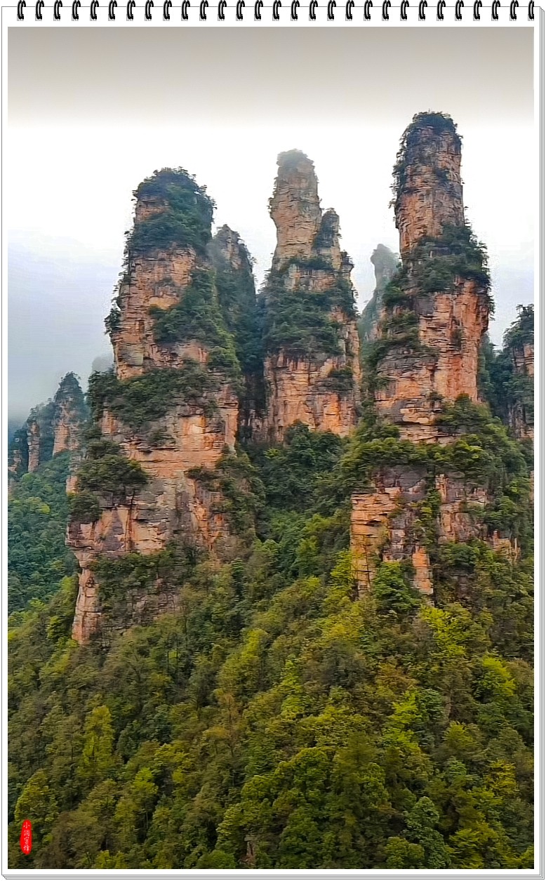 2025年-张家界风光纪实抓拍-0488