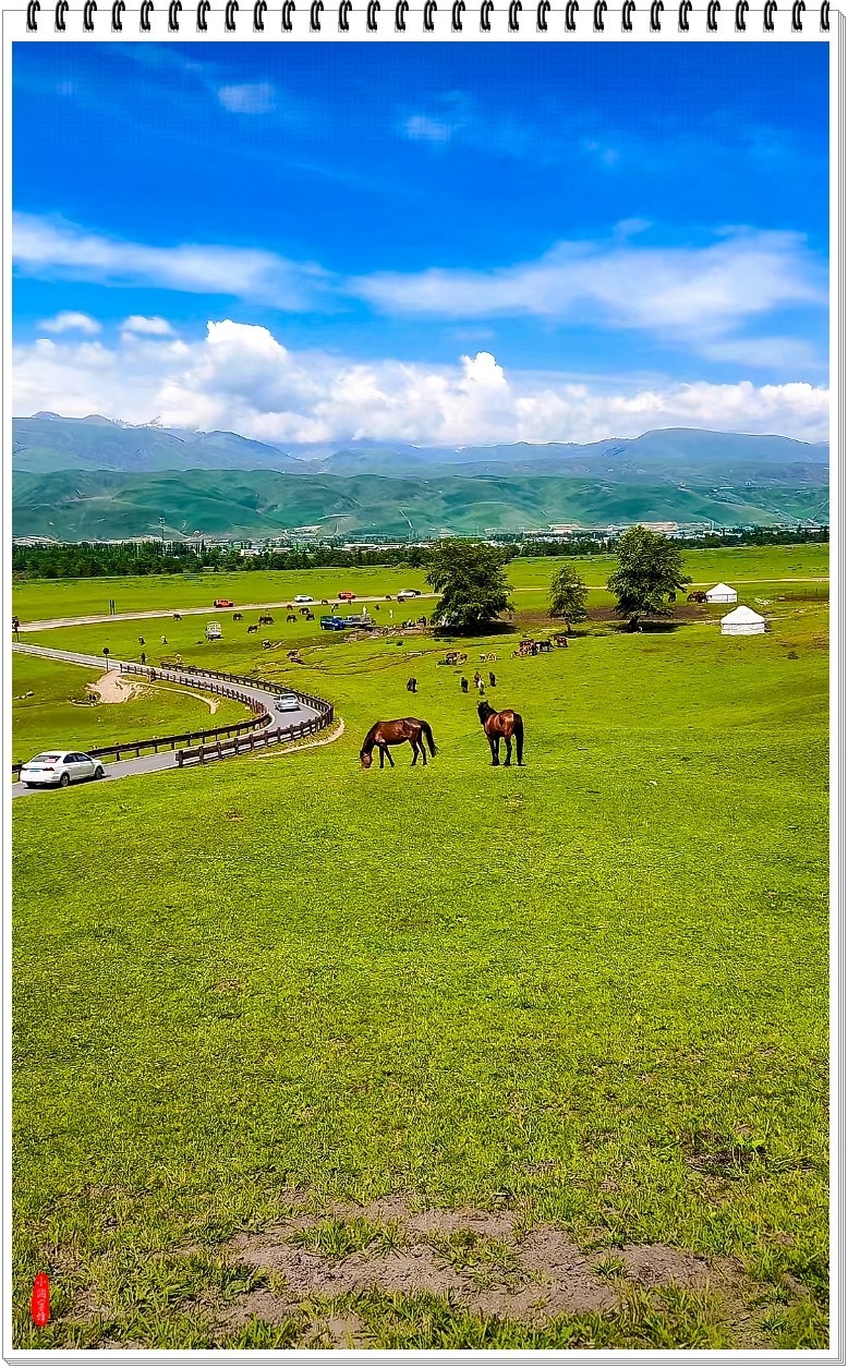 2025年-新疆风光纪实抓拍-0490