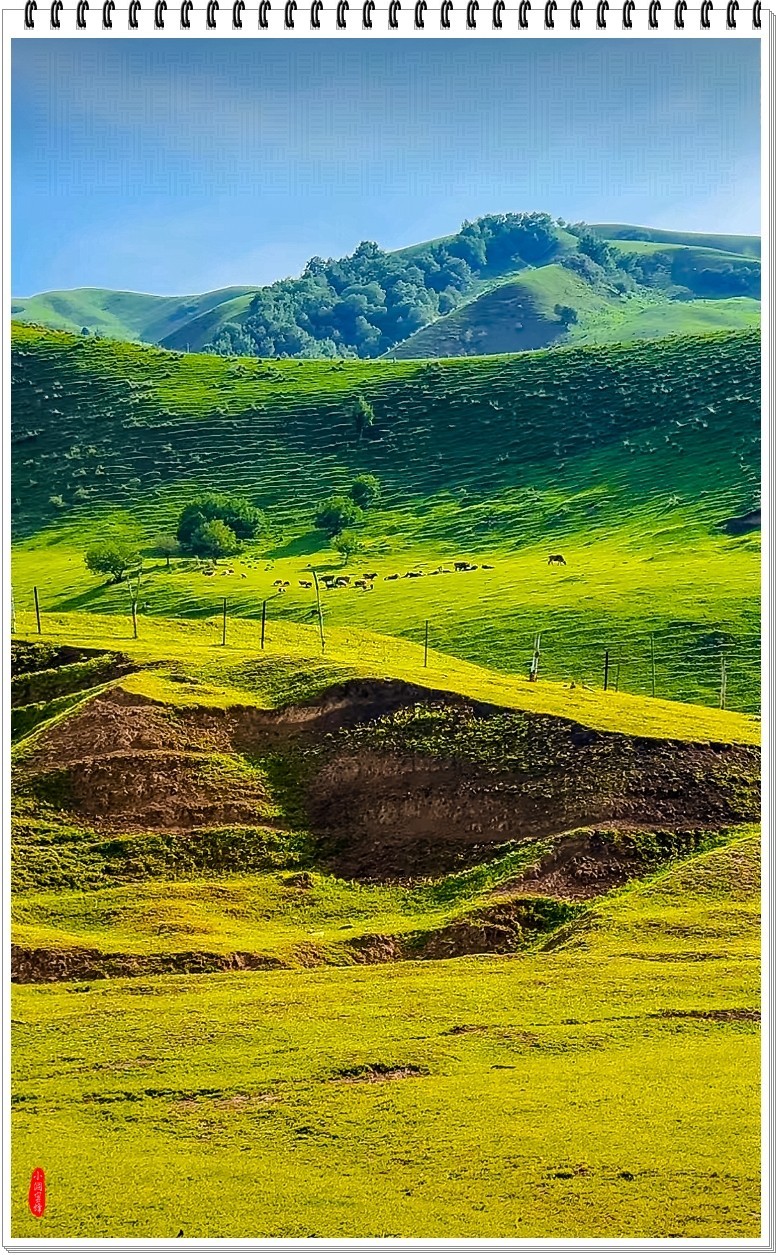 2025年-新疆风光纪实抓拍-0490