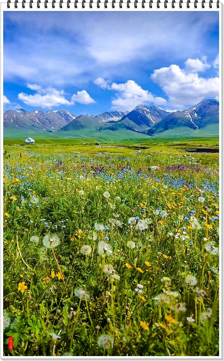 2025年-新疆风光纪实抓拍-0490