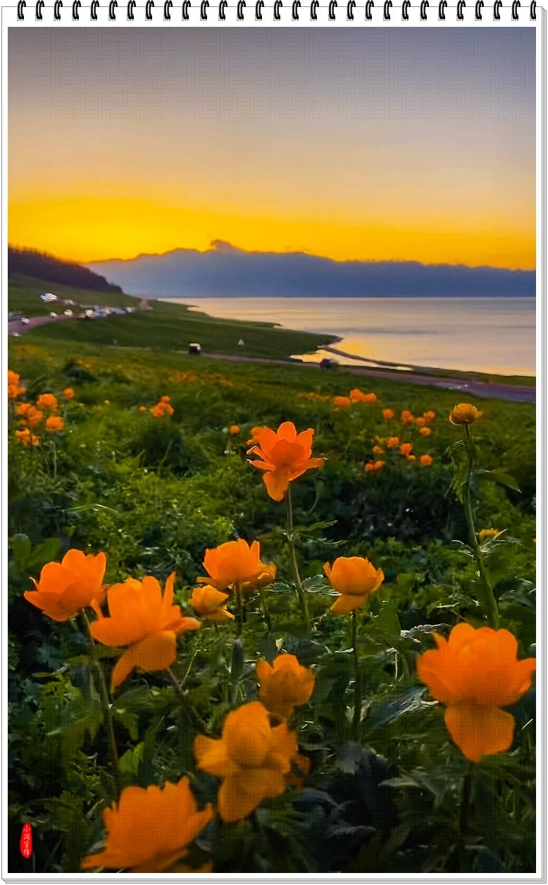 2025年-新疆风光纪实抓拍-0490