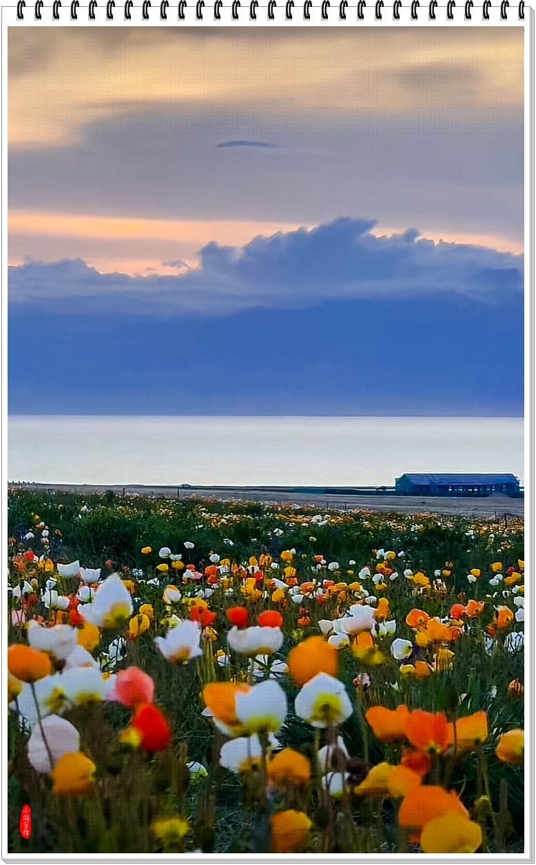 2025年-新疆风光纪实抓拍-0490