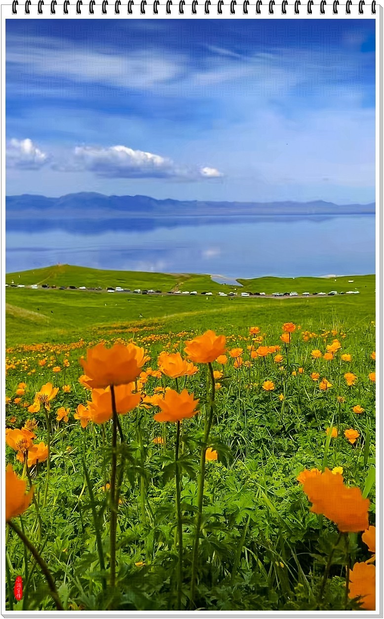 2025年-新疆风光纪实抓拍-0490