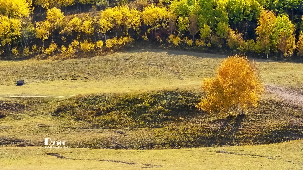 金秋乌兰布统——敖包吐（5）