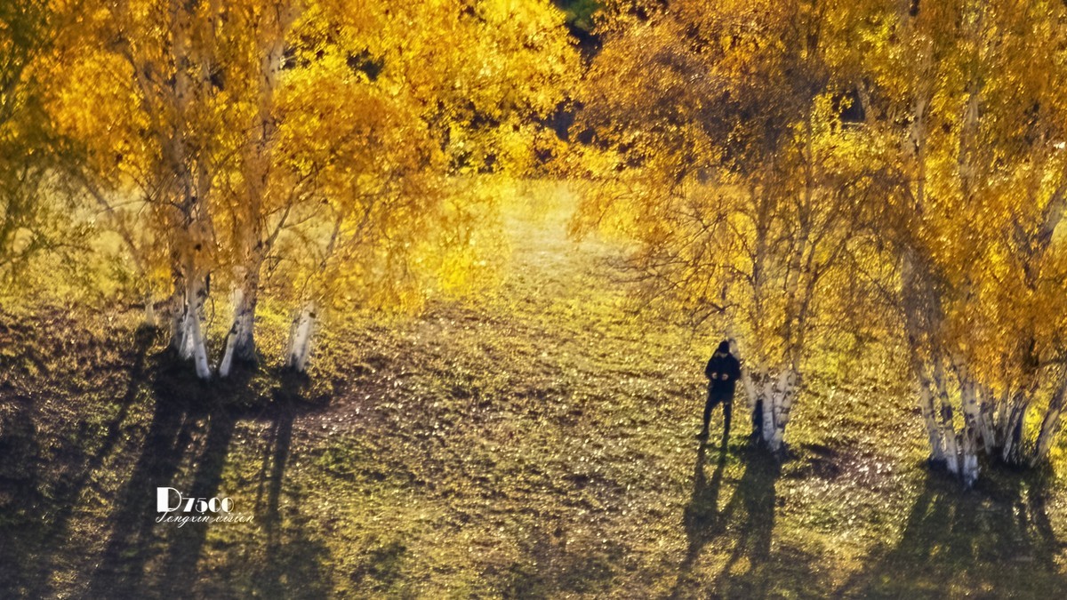 金秋乌兰布统——敖包吐（5）