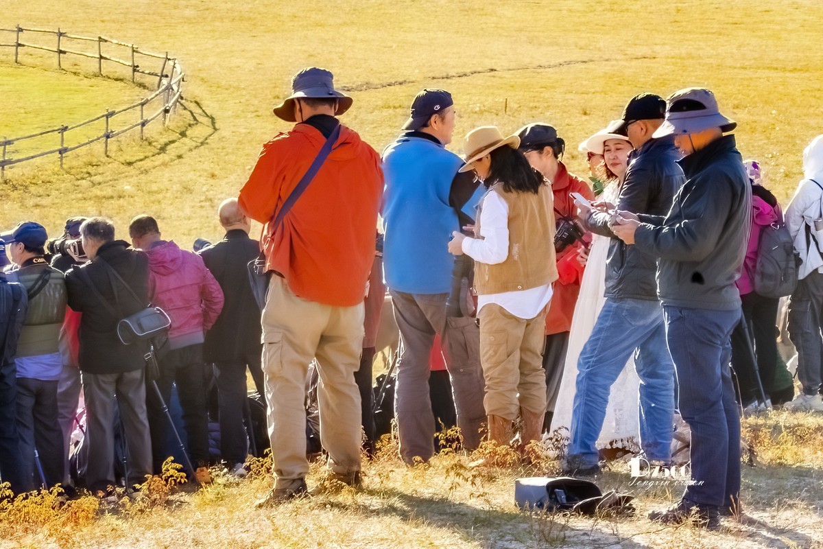 金秋乌兰布统——敖包吐（5）