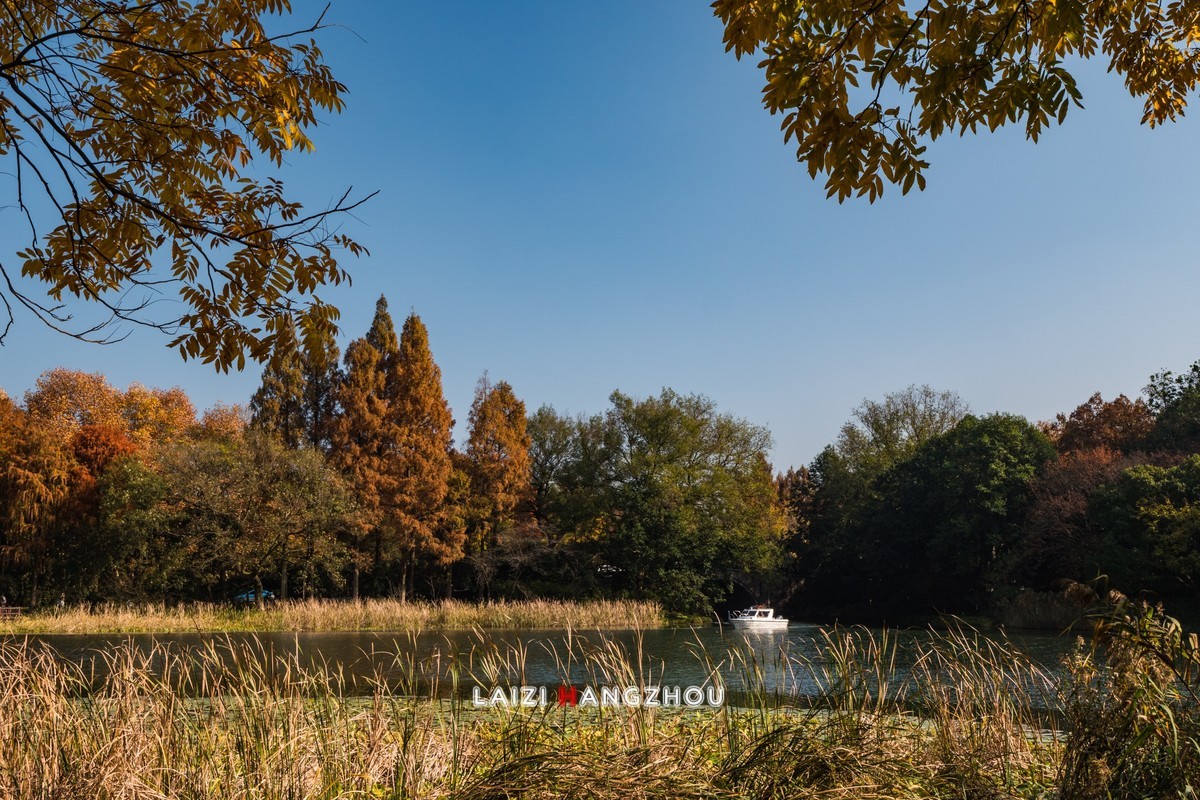 冬已至 秋未尽 (2)