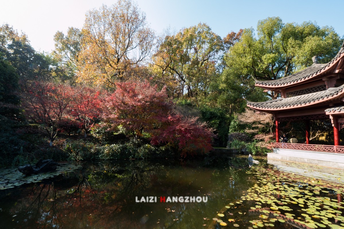 冬已至 秋未尽 (2)