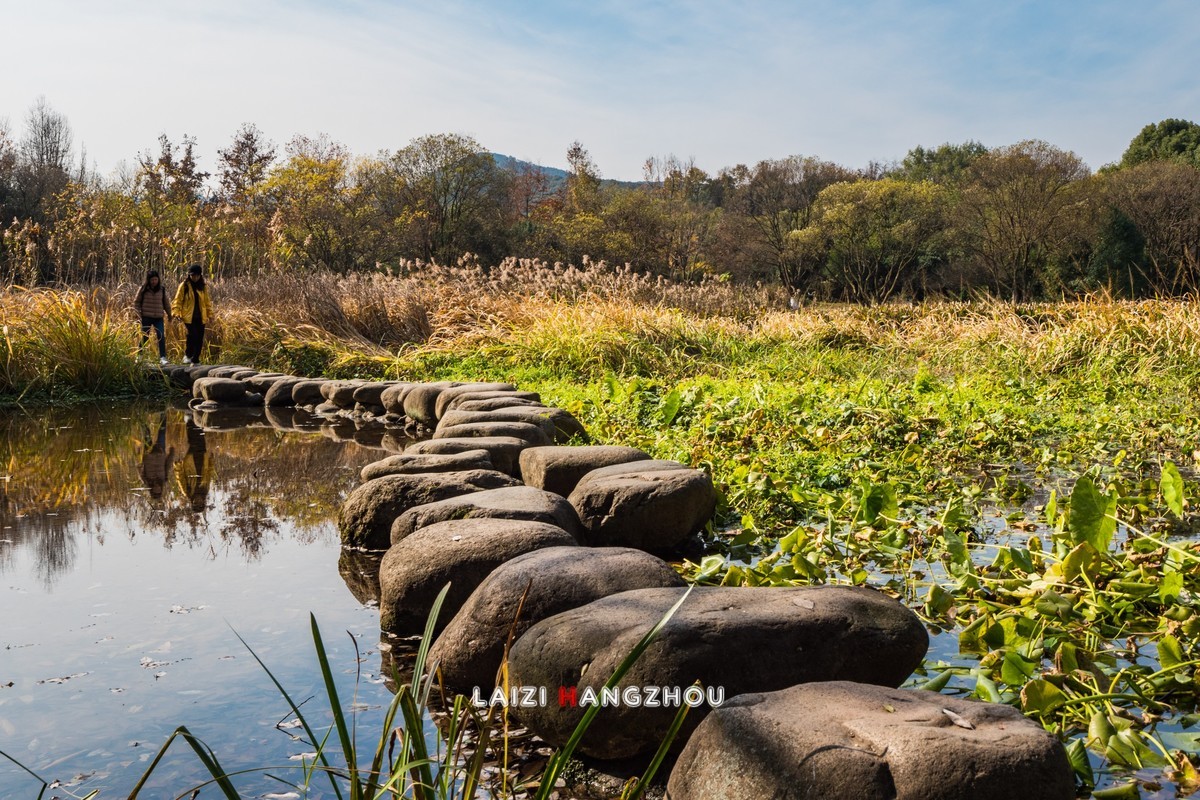 冬已至 秋未尽 (2)