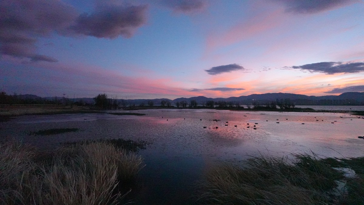 我来发ZV1m2星空(中国)第一贴。