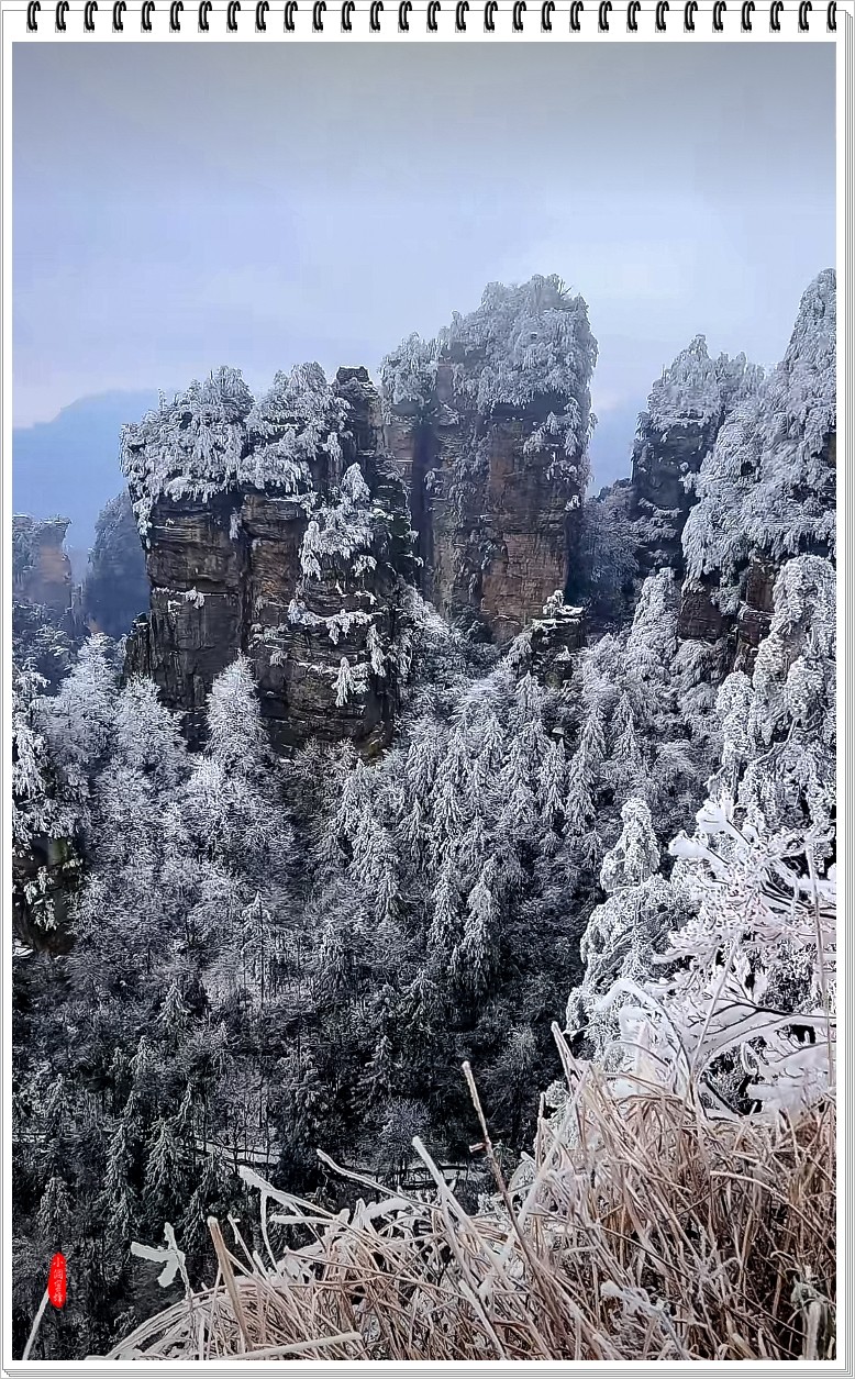 2024年-天子山风光纪实抓拍-0208