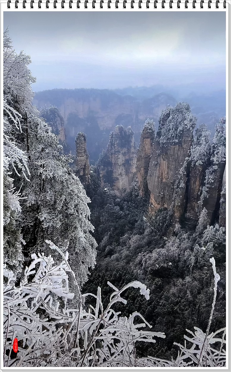 2024年-天子山风光纪实抓拍-0208