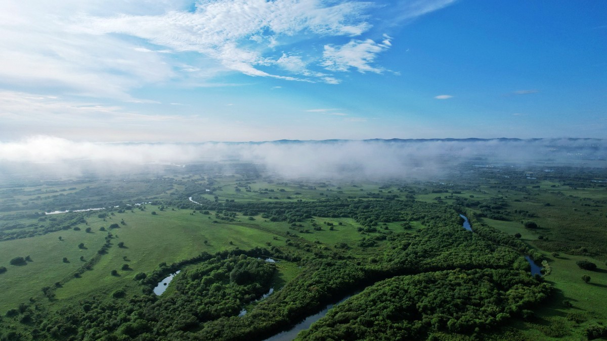 海拉尔河湿地雾景