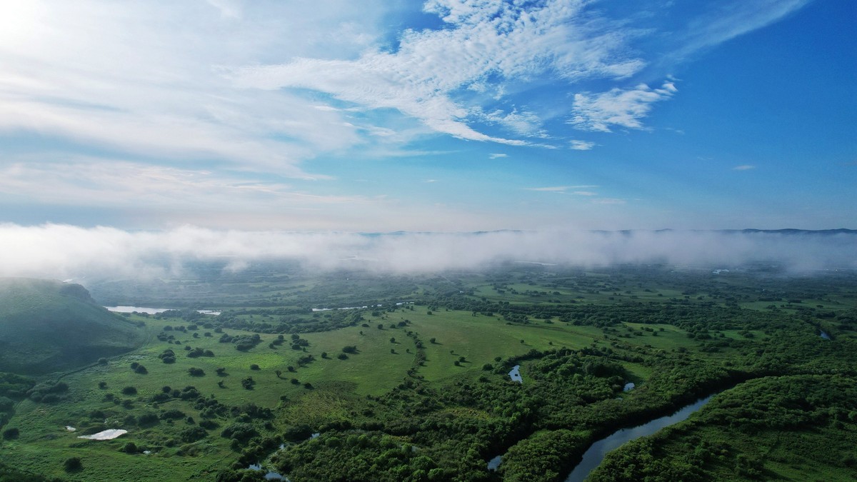 海拉尔河湿地雾景
