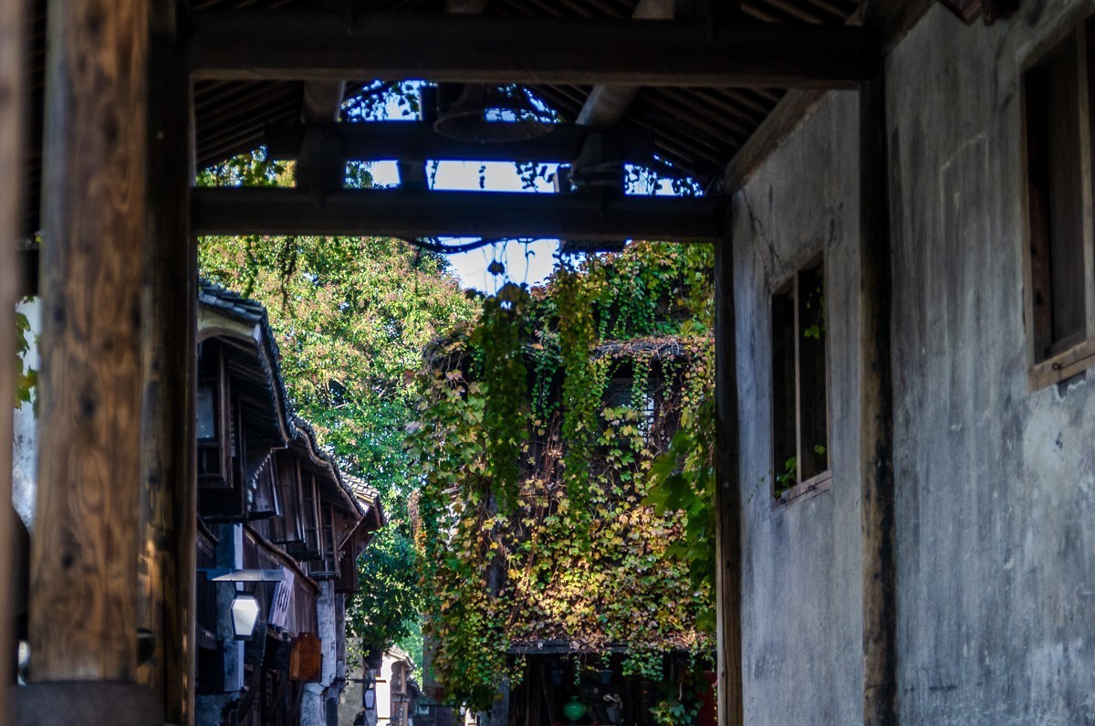 打开乌镇色彩的正确方式（宾得K5）之二