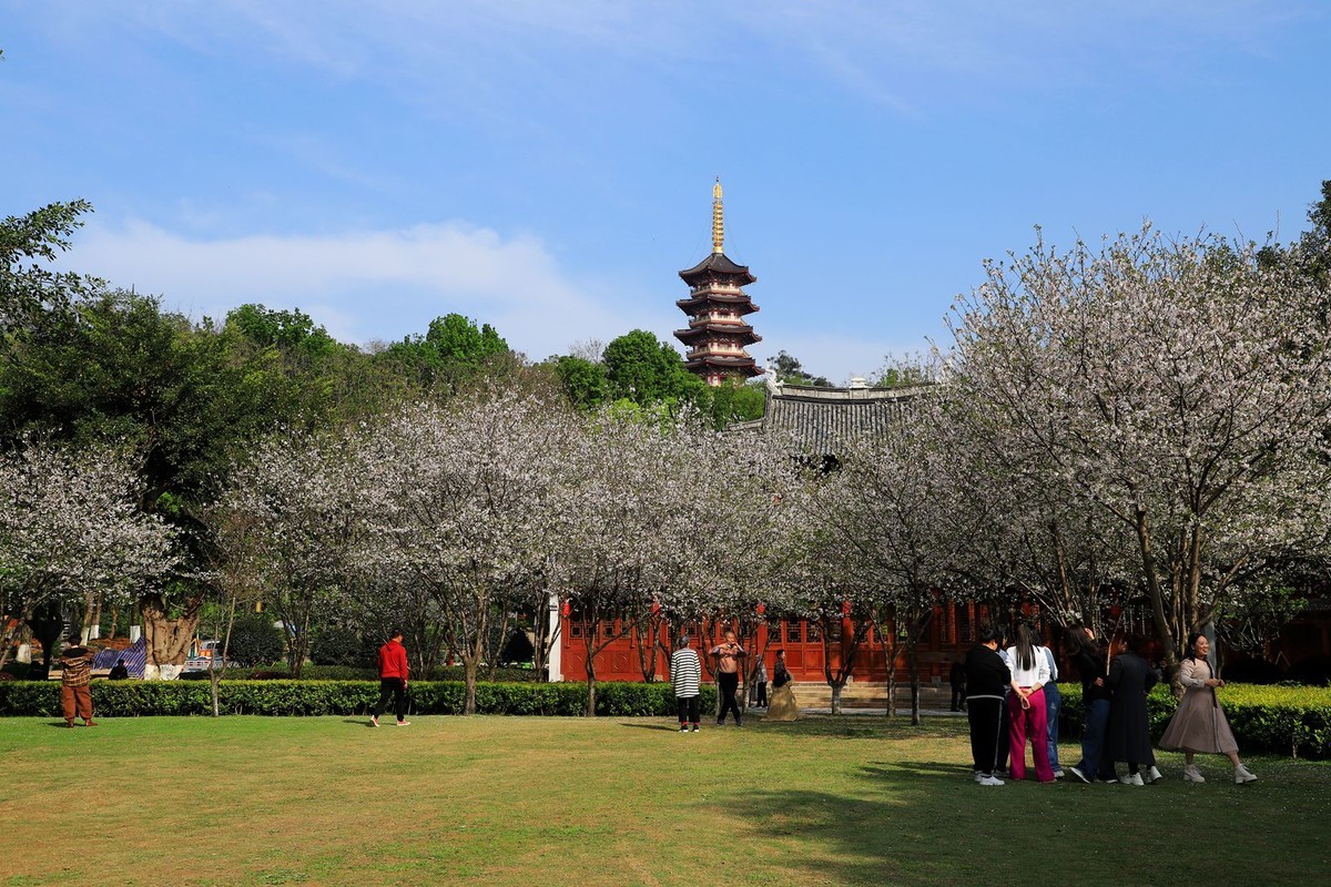 温州九山公园图片