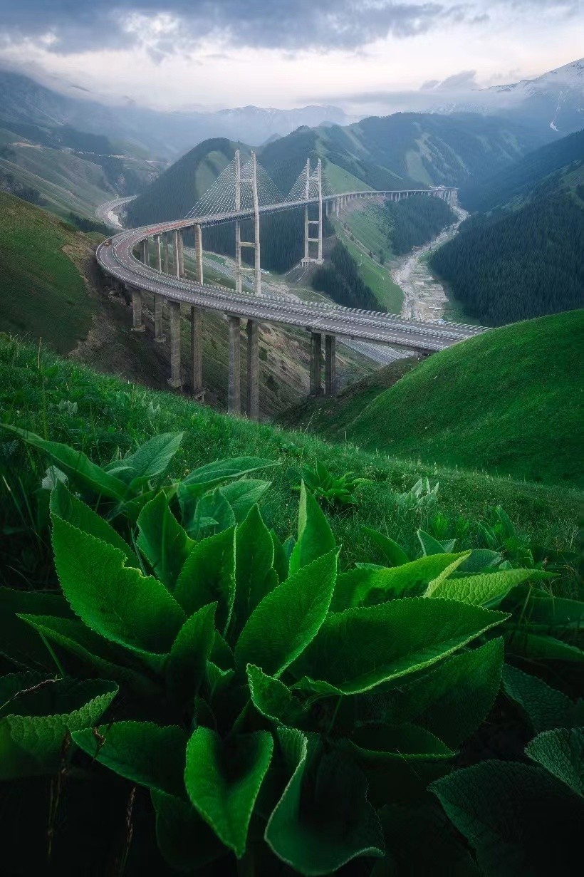 适马16-28mm F2.8 DG DN轻装上阵，捕捉自由之风