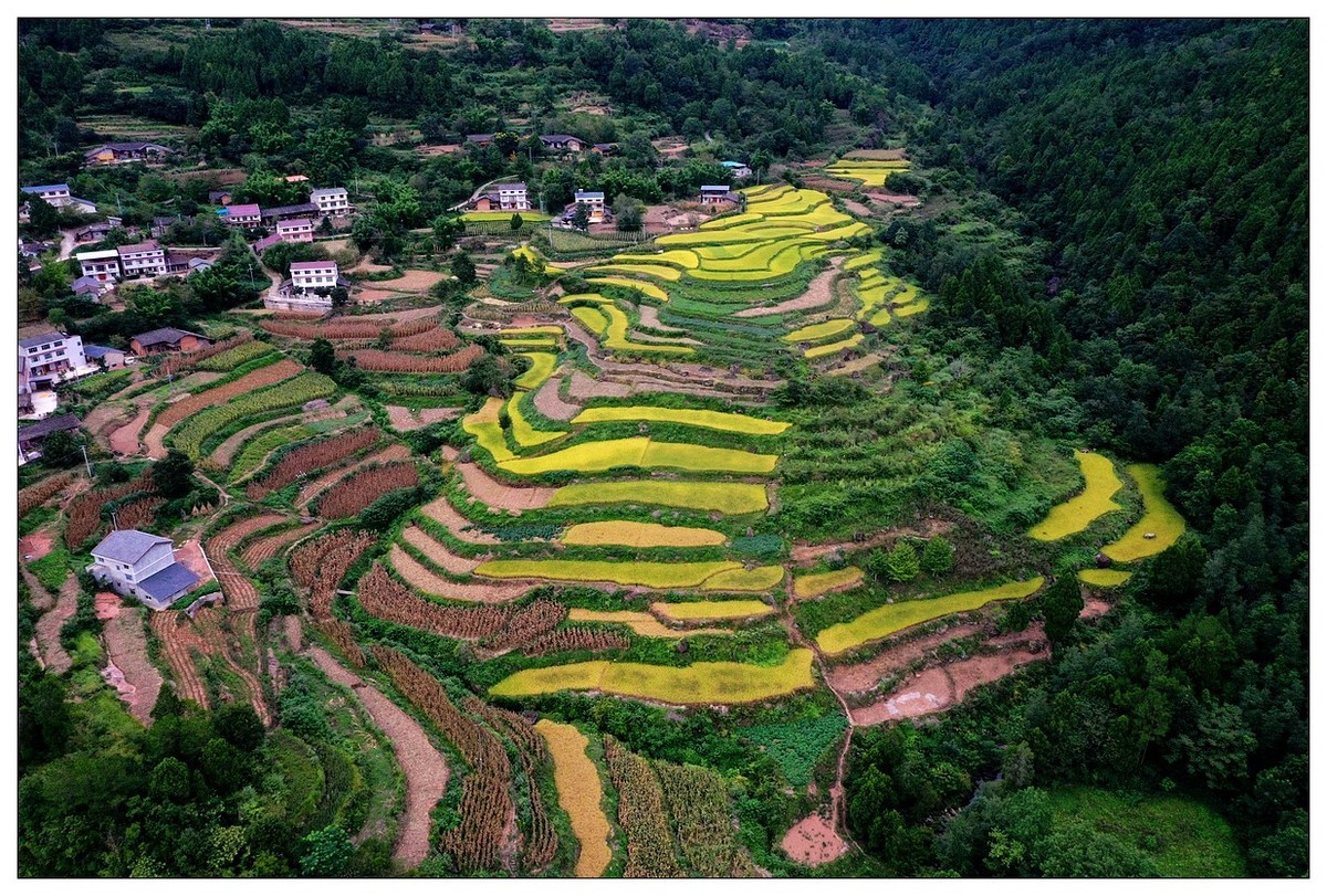 家在好山好水中