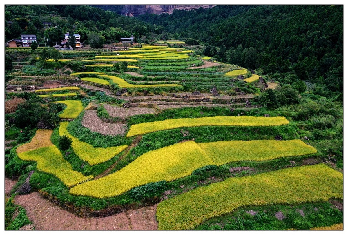 家在好山好水中