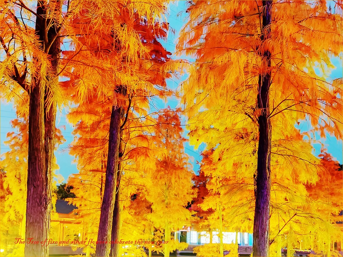 火树银花贺新年