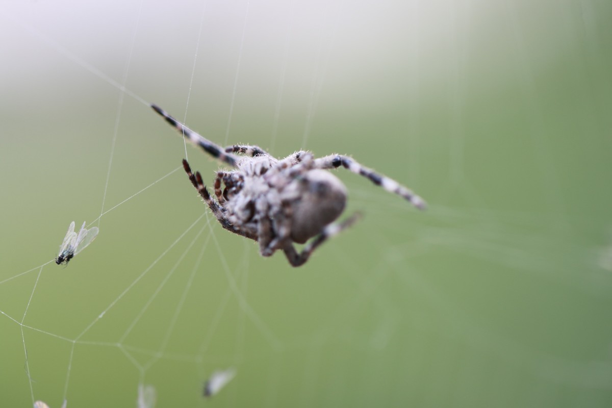 机子玩对了就好