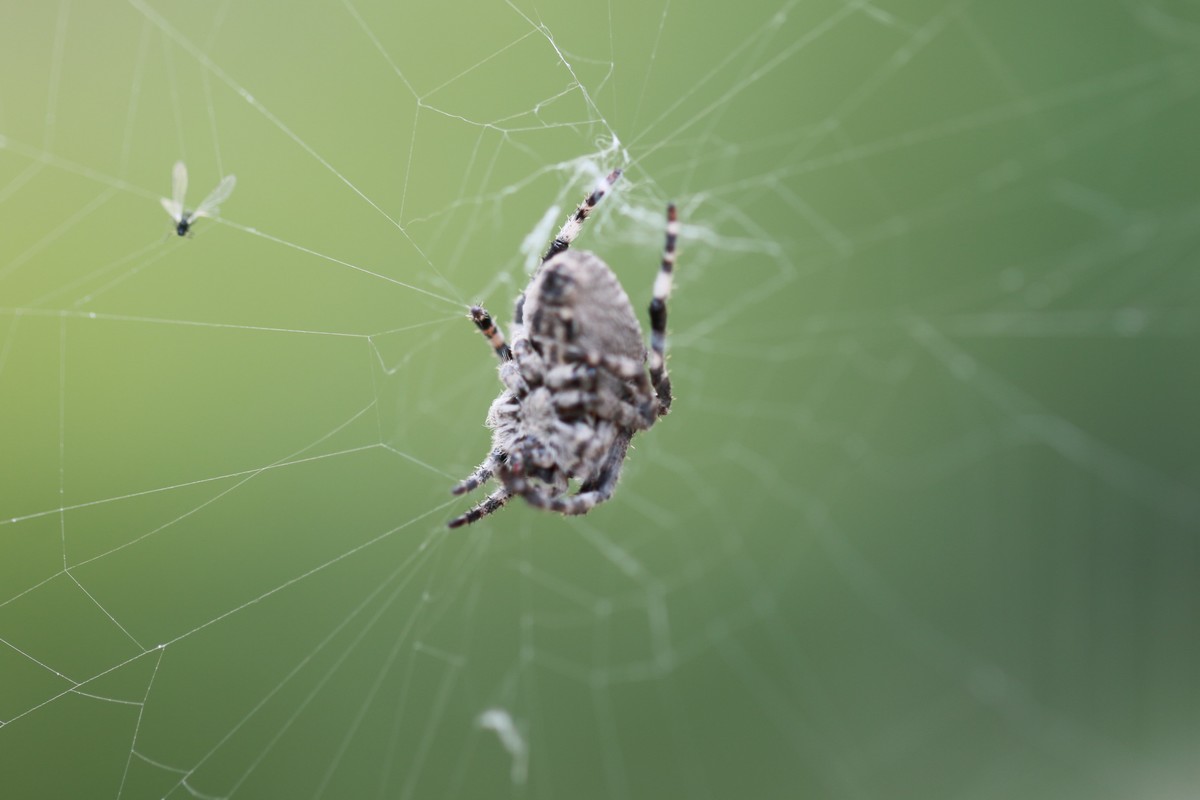 机子玩对了就好