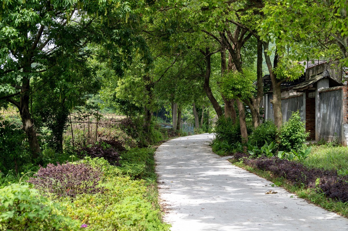 庐州印象（342）