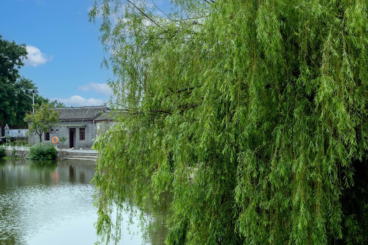 庐州印象（342）