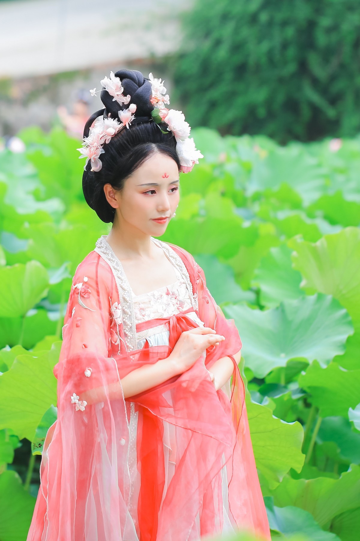 荷花仙子