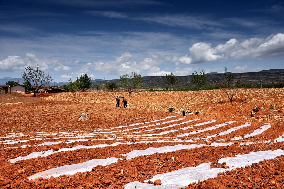 四川盐源红土地【2】