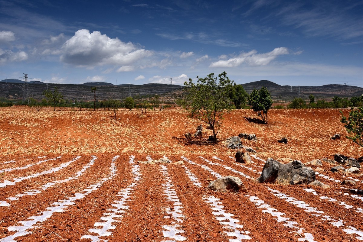 四川盐源红土地【2】