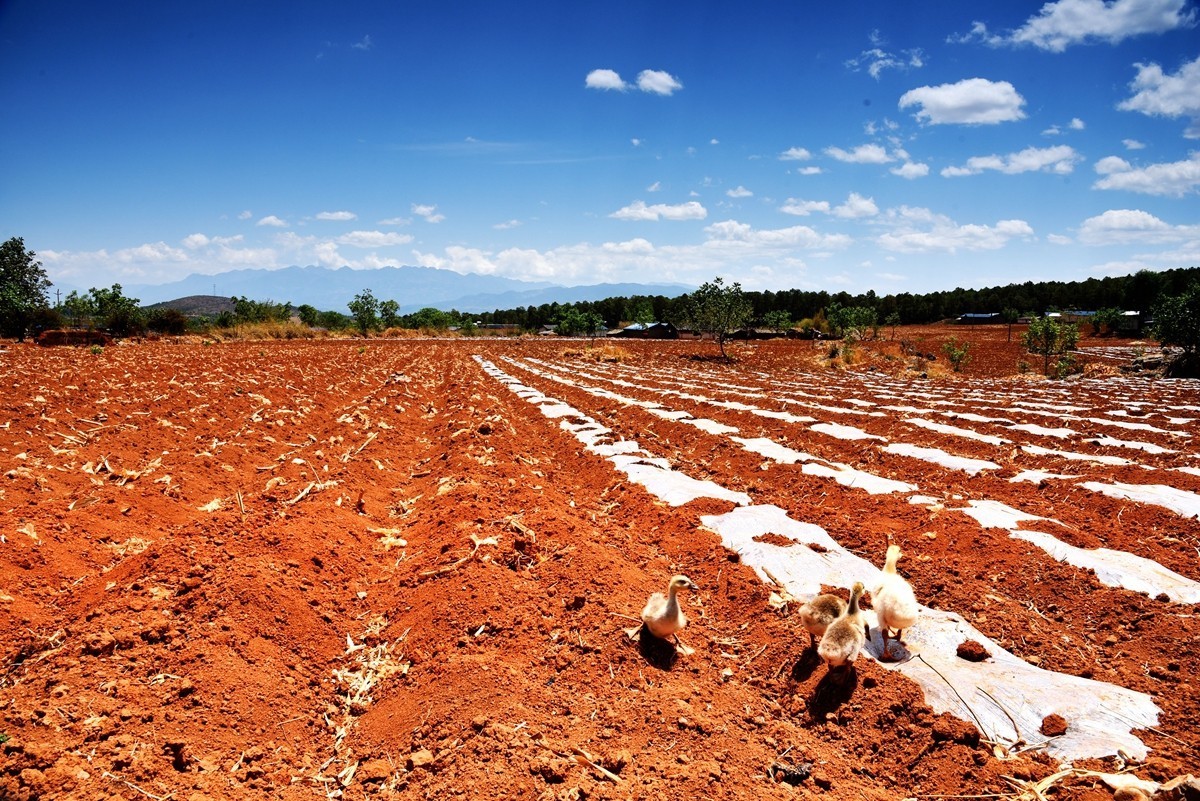 四川盐源红土地【2】